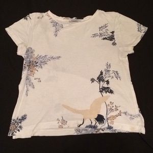 Zara Trafaluc Tshirt / bird and floral print
